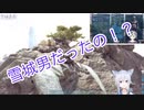 アルゲントラップを探してる途中鈴木勝と遭遇する雪城眞尋