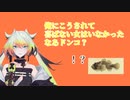 【あつ森】メリッサ・キンレンカ発作を起こしてドンコを巻き込む【にじさんじ】