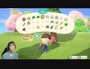 【あつまれ どうぶつの森】桜が咲いた!新しい魚も釣れる!お花畑作る!#10