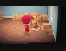 【あつまれ どうぶつの森】広島弁実況プレイ #9