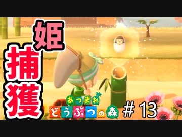 【あつまれ どうぶつの森】かぐや姫捕獲計画！？＃13