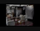 初見うみねこのなく頃に Part93