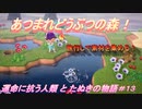【あつ森】前人未島へようこそ！#13【あつまれどうぶつの森】