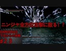 【DARKSOULS】下忍からの挑戦 PART２３【NINJA縛りプレイ実況】