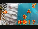 『お困りハムスター』の巻 Troubled hamster. #31【ハムスター物語】
