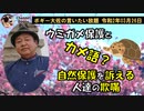 ウミガメ保護とカメ語　ボギー大佐の言いたい放題　2020年03月26日　21時頃　放送分