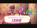 【N.Sw】" あつまれ どうぶつの森 " 開拓者生活やってみる？　12日目　【生放送】