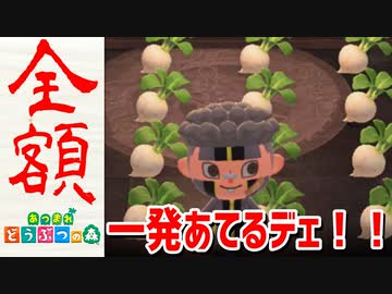【実況】まかせろ！おとこぎの森 part11【あつまれ どうぶつの森】