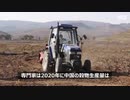 米騒動から大飢饉、餓死者が多数でいつもの中国！