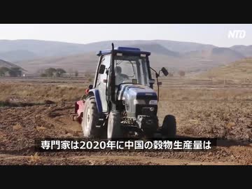 米騒動から大飢饉、餓死者が多数でいつもの中国！