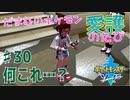 【実況】だまむのポケモン愛護のたび＃３０