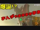 【趣味】拙いですがパンツでマスターになる【ゼルダの伝説ブレスオブザワイルド】pants120