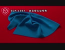 SCP-1597 - ある安心な毛布