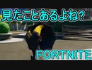 おそらく中級者のフォートナイト実況プレイPart238【Switch版Fortnite】