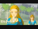 【実況】マスターモード縛りプレイやる part30【ゼルダの伝説 ブレスオブザワイルド】