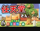 任天堂さん、詰めが甘いですよ...。 【あつまれどうぶつの森】　６