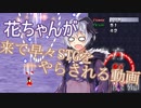 花ちゃんが来て早々STGをやらされる動画