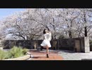【うたゆき】リバースユニバース 踊ってみた【桜】