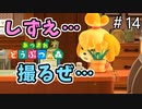 【あつまれ どうぶつの森】しずえさんを盗撮はしますが三ツ星の島です。＃14