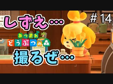 【あつまれ どうぶつの森】しずえさんを盗撮はしますが三ツ星の島です。＃14