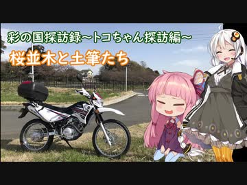 【彩の国探訪録：トコちゃん探訪編】Part2 トコちゃんと春を探して～桜並木～【琴葉茜車載】