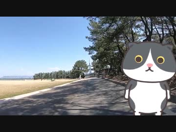 【森永卓郎】　政府に反旗！政治生命を賭けた凄い人が現れた