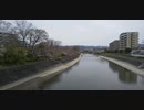 芥川桜堤をもう一度歩く(2020年3月下旬)