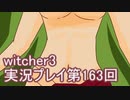 探し人を求めてwitcher3実況プレイ第163回