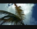 Dobre Brothers - You Know You Lit ft. Lil Pump (Official Video)