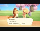 あつまれ！どうぶつの森　#６　【実況】