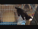 君には負けたよ＾＾；