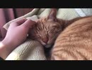 強風の中の静寂