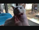 窓際は彼の特等席