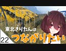 #22【デスストランディング】東北きりたんはつながりたい【ボイスロイド実況】