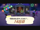 【N.Sw】" あつまれ どうぶつの森 " 開拓者生活やってみる？　14日目　【生放送】