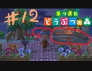 戦い疲れた男のあつもり12杯目。《あつまれどうぶつの森》