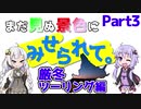 まだ見ぬ景色にみせられて。-厳冬ツーリング編- Part3【ゆづきず車載】