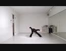 BTS BlackSwan 踊ってみた！　【踊る防弾女子】