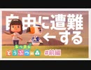遭難するような海域にある島【あつまれ　どうぶつの森】#３前編