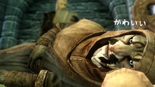 【Skyrim】Main Theme に乗せて