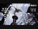 【MHWI】環境生物最大最小金冠紹介65ムカシマンタゲラ