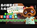 【実況】100日後に沈む島【あつまれ どうぶつの森】2日目