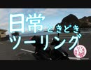 日常ときどきツーリング。【神津島2日目】