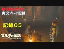 【寄り道ばかりの】ゼルダの伝説BotW【実況プレイ記録65】ウオトリー村