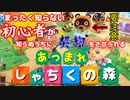 初心者が知らぬ間に契約させれる【おいでよ　どうぶつの森】#１