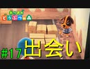 【実況】捻くれ者の無人島生活【あつまれ　どうぶつの森】１７日目