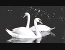 Sarah Dash - To Tell You The Truth 1988