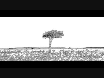 それを恋と呼べずに ／ 家の裏でマンボウが死んでるP