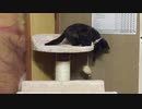 降りるの怖いよ