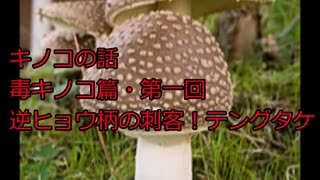 キノコの話　毒キノコ篇・第一回　逆ヒョウ柄の刺客！テングタケ